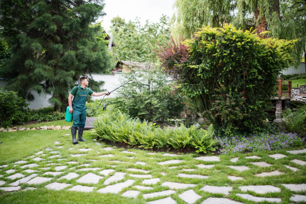Best Wasp Removal Services  in Hayneville, AL