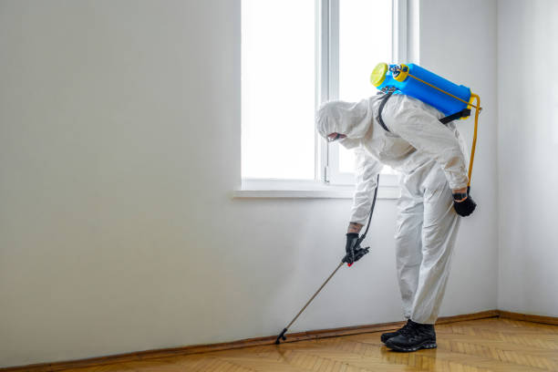 Best Local Pest Control Services  in Hayneville, AL