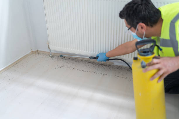 Best Bed Bug Extermination  in Hayneville, AL