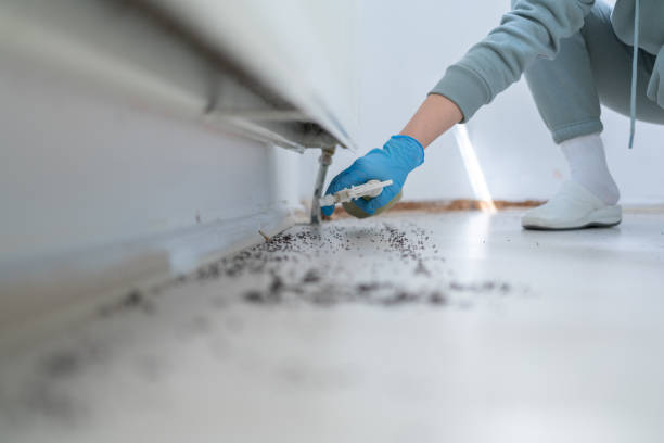 Best Cockroach Control Services  in Hayneville, AL